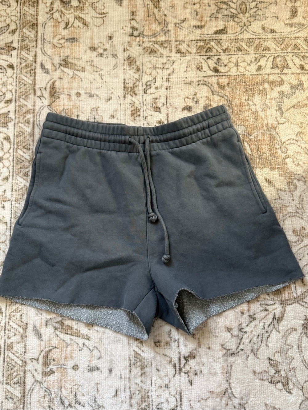 Aritzia TNA Sweatshorts